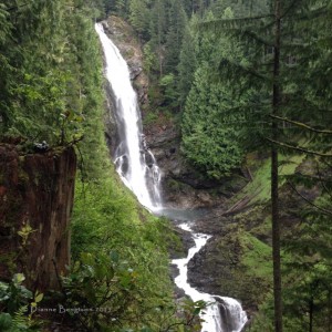 View of Middle Falls