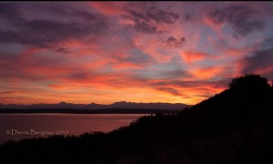 Discovery Park Sunset